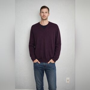 Joseph Abboud Men's V-Neck Sweater in Rich Purple